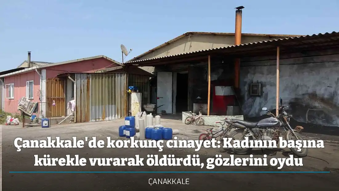 Çanakkale'de korkunç cinayet: Kadının başına kürekle vurarak öldürdü, gözlerini oydu