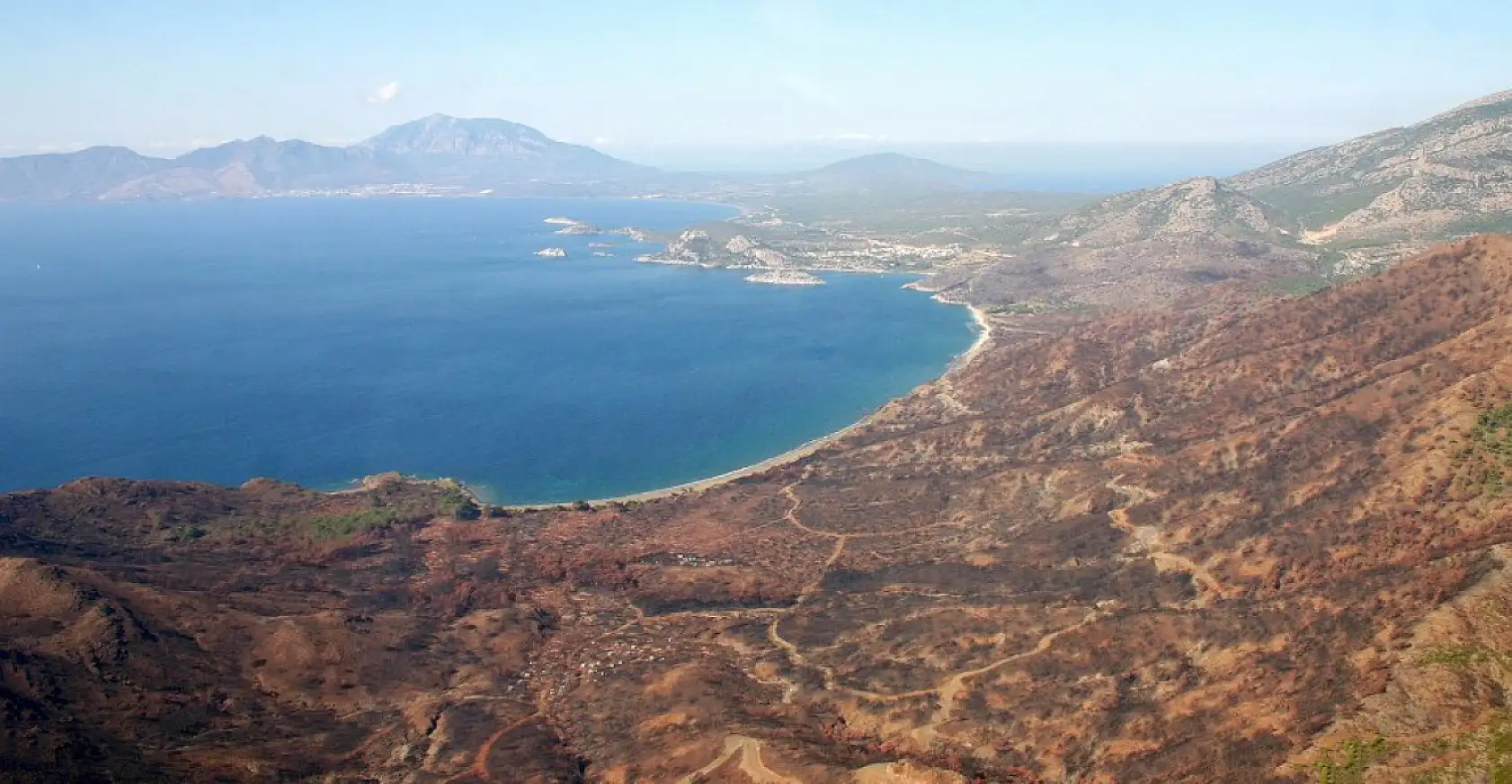 Yanan ormanlar yeniden yeşerdi