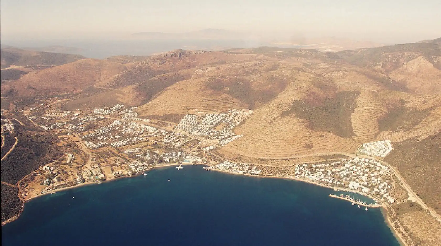 Yanan ormanlar yeniden yeşerdi