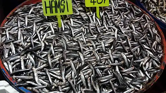 Balık tezgahları buz kesti