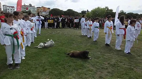 Balıkesir'de 19 Mayıs törenlerinde protokol tribününe çıkan köpek ilginç görüntüler oluşturdu