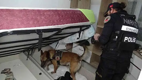 Balıkesir'de bin polisin katılımıyla helikopter destekli huzur operasyonu düzenlendi