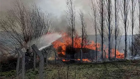 Bigadiç'te iki ayrı yangın