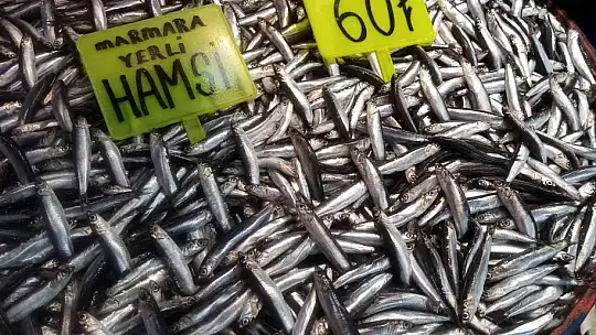 Fırtına balık tezgahlarına esti, fiyatlar yükseldi