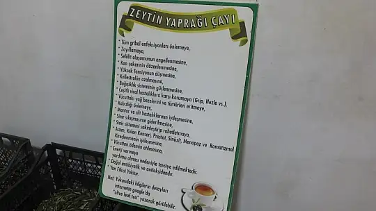 Zeytin yaprağının korona virüse iyi geldiğini iddia etti