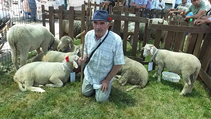 Balıkesir'de Bahar Şenliği'nde kuzu ve oğlaklar yarıştı